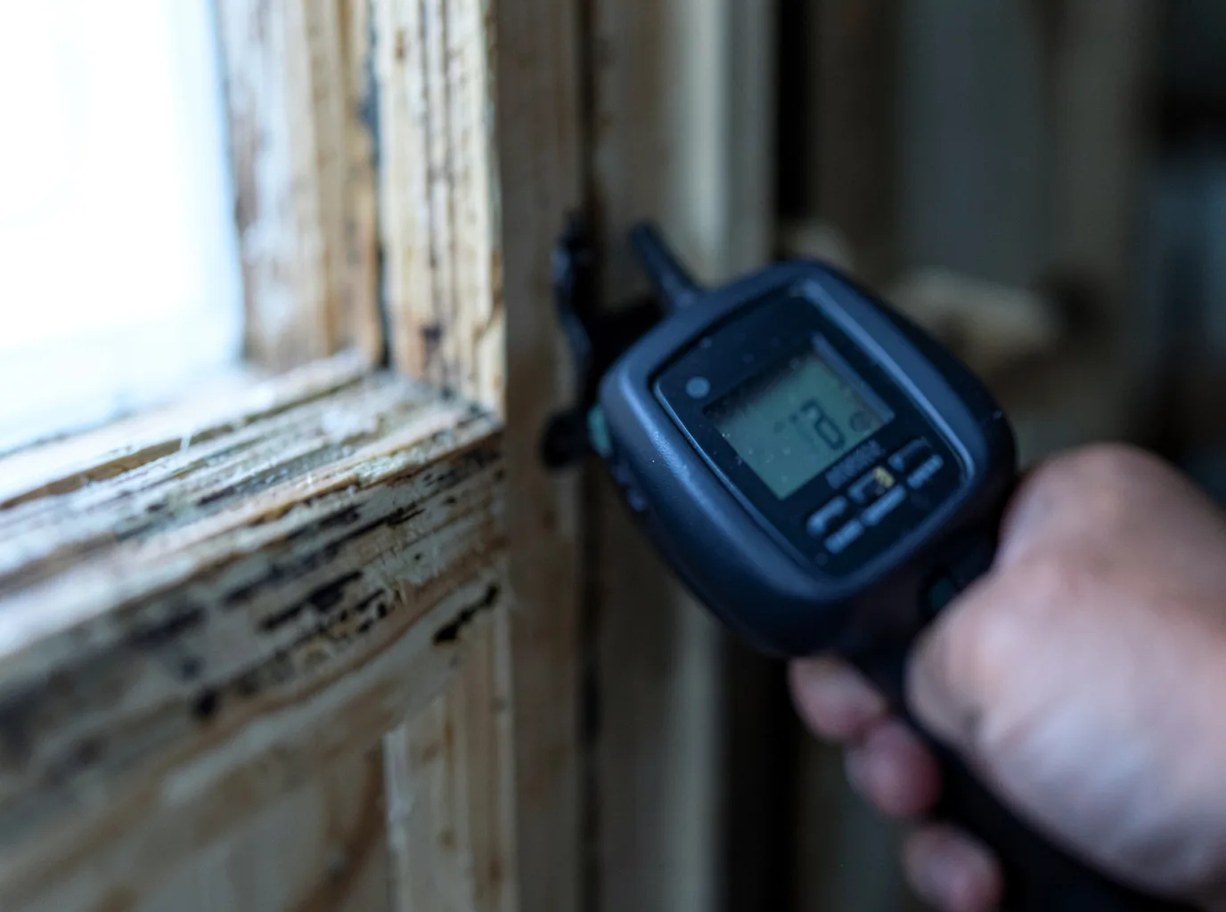 Moisture Inspection And Documentation in Coal Township, PA